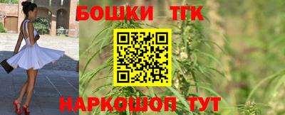 твердый Гатчина