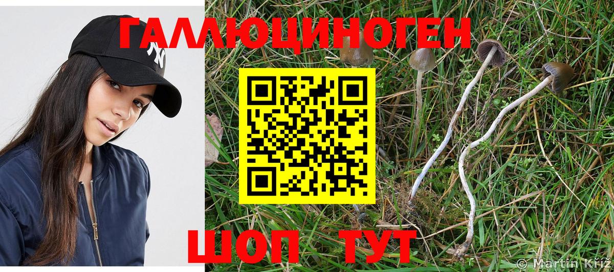 Псилоцибиновые грибы мухоморы  Галлюциногенные грибы Psilocybine cubensis  Вход с VPN  Новодвинск 