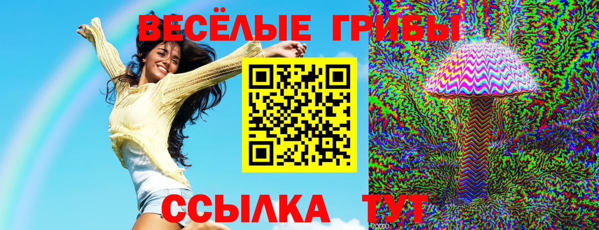 Псилоцибиновые грибы Cubensis Новодвинск